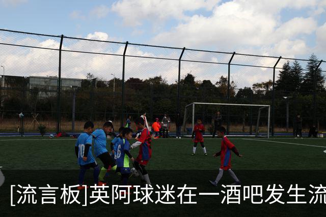 [流言板]英阿球迷在一酒吧发生流血斗殴，一些英格兰球迷被铐走